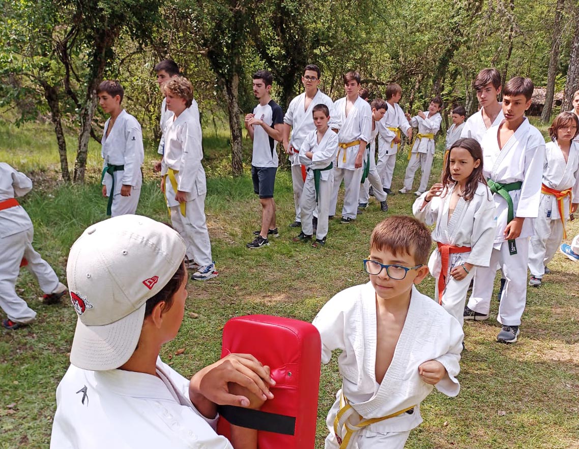 campamento de verano karate