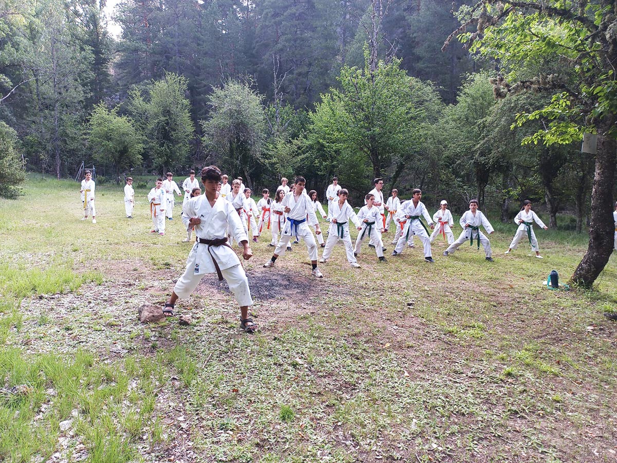 campamento de verano de karate en la naturaleza